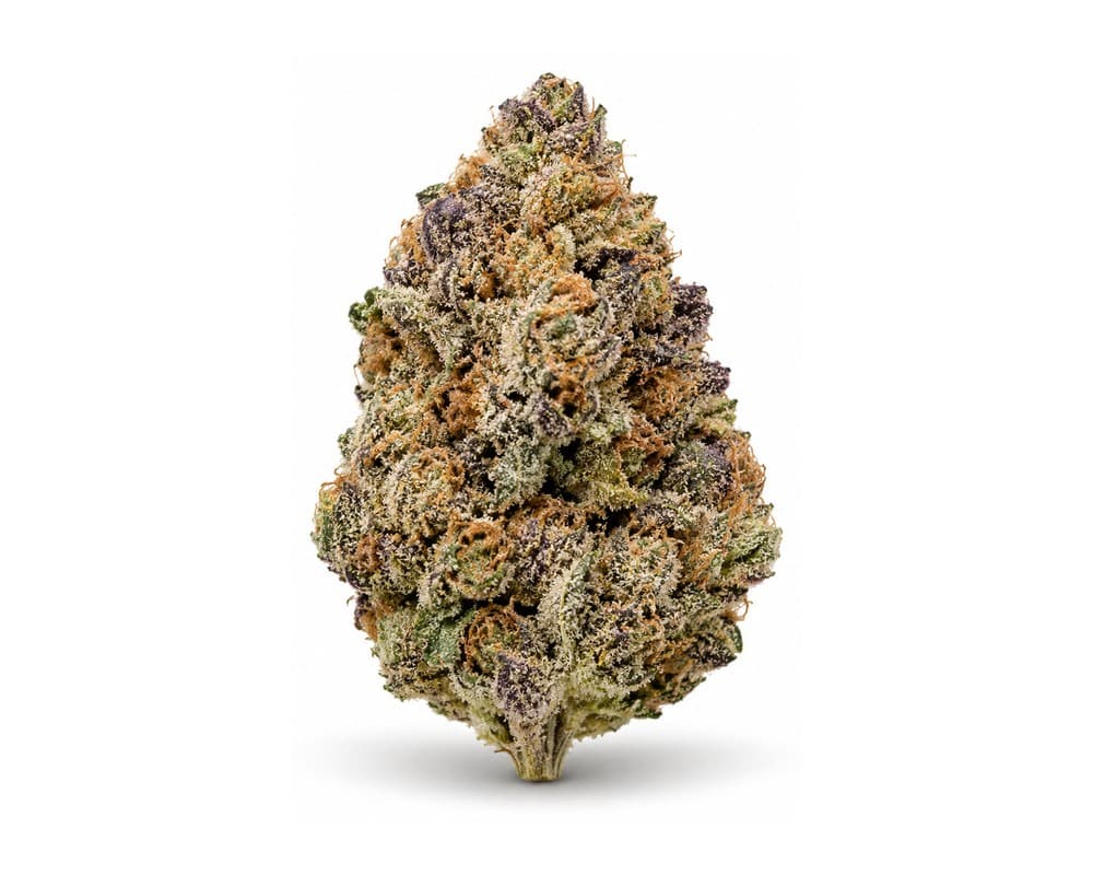 Apple Fritter