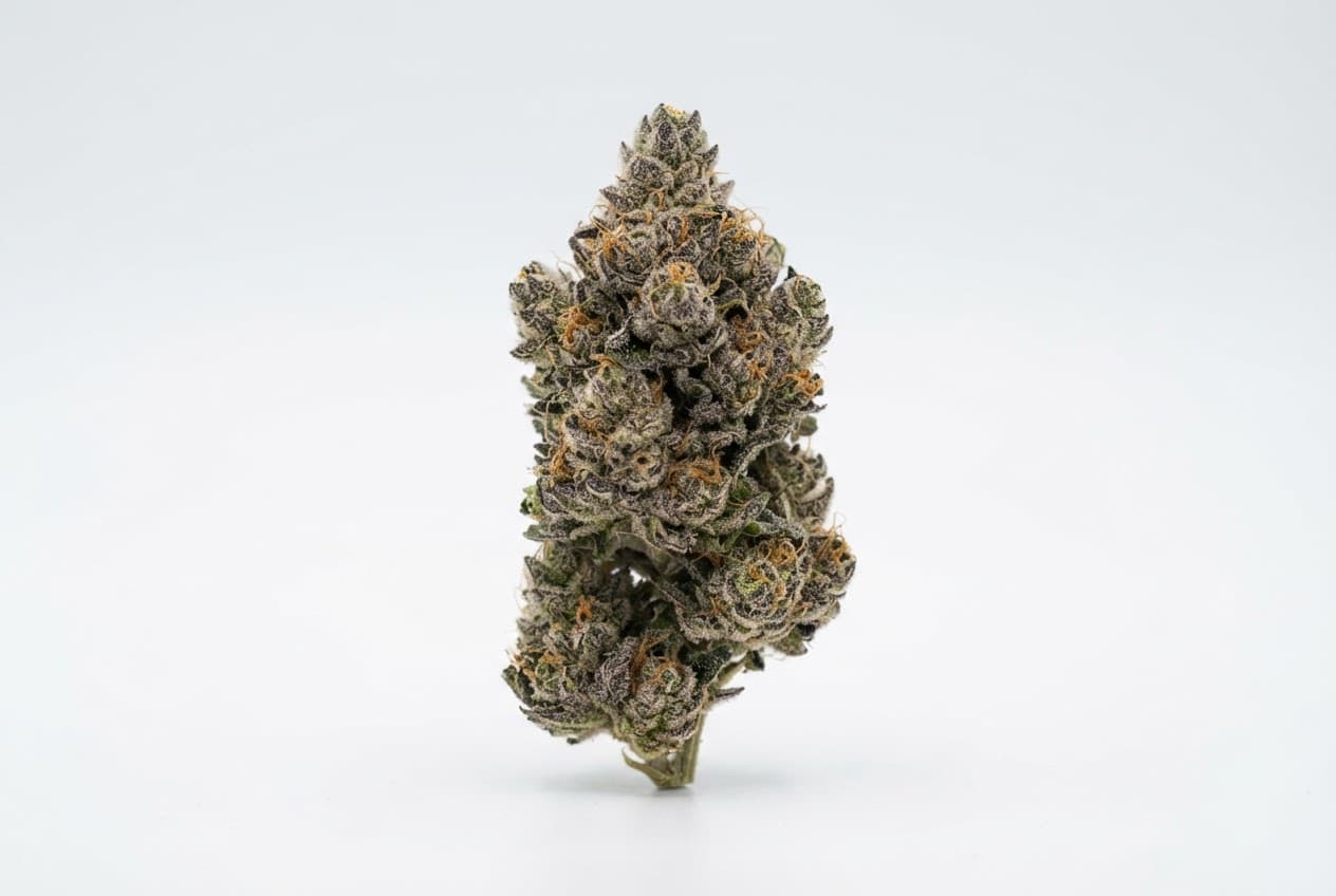 Apple Kush